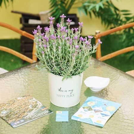 Hortensia 希贝尼克 外观 照片